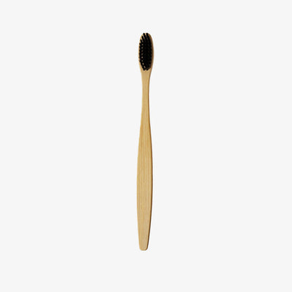 Lumino Wooden Brush