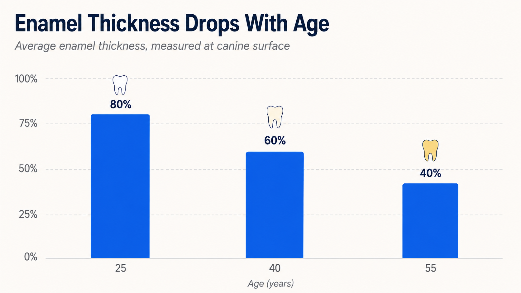 Enamel thickness drops with age chart